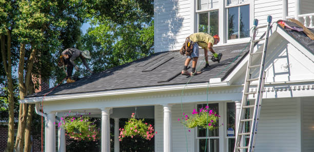 Siding in West Samoset, FL